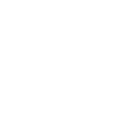 LG Hauling &Junk Removal